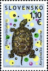 European-Pond-Turtle-Emys-orbicularis.jpg