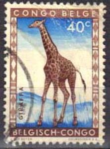 Colnect-945-377-Giraffe---Artiodactyla.jpg