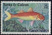 Colnect-1106-605-Spotted-Goatfish-Pseudupeneus-maculatus.jpg
