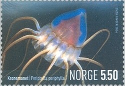 Colnect-447-319-Helmet-Jellyfish-Periphylla-periphylla.jpg