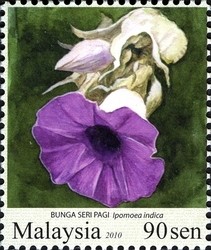 Colnect-1434-526-Garden-Flowers--Ipomoea-indica.jpg