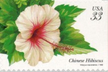 Colnect-201-263-Tropical-FlowersChinese-Hibiscus.jpg