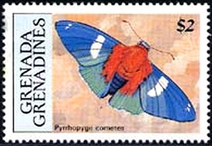 Colnect-2174-116-Butterfly-Pyrrhopyge-cometes.jpg