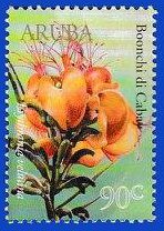 Colnect-4494-170-Flowers-Of-Aruba.jpg