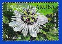 Colnect-4494-172-Flowers-Of-Aruba.jpg