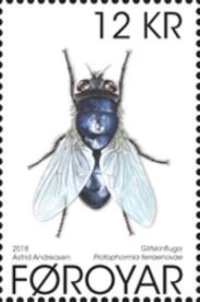Colnect-4675-839-Blue-bottle-fly-Protophormia-terraenovae.jpg
