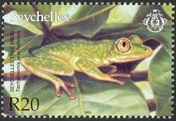 Colnect-1704-968-Seychelles-Treefrog-Tachycnemis-seychellensis.jpg