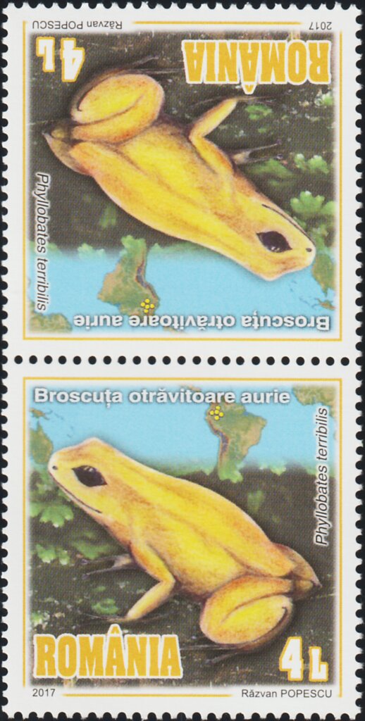 Colnect-5889-409-Golden-Poison-Frog-T%C3%AAte-b%C3%AAche-Pair-Type-II.jpg