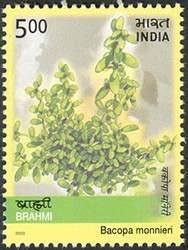 Colnect-540-486-Medicinal-Plants-of-India---Brahmi-Bacopa-monnieri.jpg