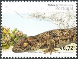 Colnect-546-301-Selvagens-Gecko-Tarentola-bischoffi.jpg