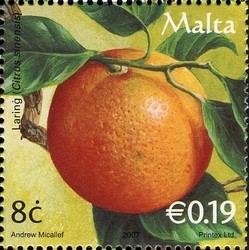Colnect-657-679-Orange-Citrus-sinensis.jpg