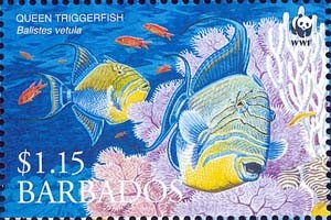 Colnect-1745-699-Queen-Triggerfish-Balistes-vetula.jpg
