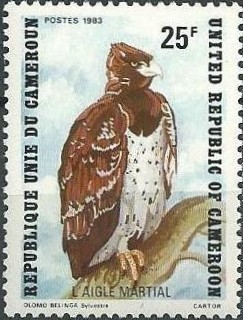 Colnect-1750-178-Martial-Eagle-Polemaetus-bellicosus.jpg