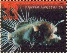 Colnect-201-504-Fanfin-Anglerfish-Caulophryne-sp.jpg