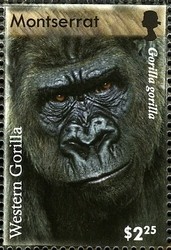 Colnect-1523-996-Western-Lowland-Gorilla-Gorilla-gorilla-gorilla.jpg