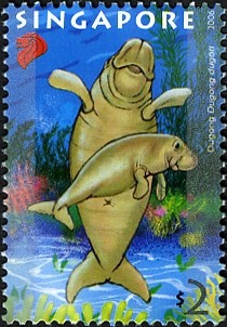 Colnect-609-920-Dugong-Dugong-dugon.jpg