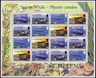 Colnect-1661-851-Sperm-Whale---Physeter-catodon.jpg