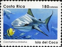 Colnect-1723-301-Blacktip-Shark-Carcharhinus-limbatus.jpg