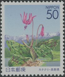 Colnect-3963-428-Asian-Fawnlily---Hakuba-Mountains---Ch%C5%ABshin-Area.jpg