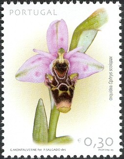 Colnect-568-022-OrchidOphrys-scolopax.jpg