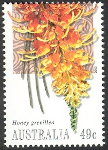 Colnect-458-448-Honey-Grevillia.jpg