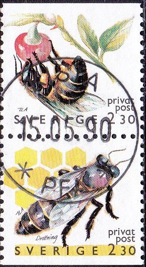 Colnect-5414-174-European-Honey-Bee-Apis-mellifera.jpg