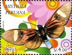 Colnect-2360-145-Moth-Histioea-peruana.jpg