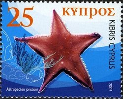 Colnect-627-828-Starfish-Astropecten-jonstoni.jpg