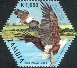 Colnect-938-680-African-Fish-Eagle-Haliaeetus-vocifer.jpg