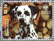Colnect-6017-942-Dalmatian-and-Stack-of-Logs.jpg