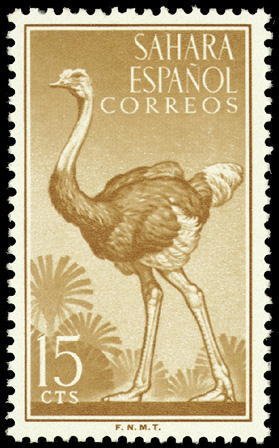 Colnect-1399-268-Ostrich-Struthio-camelus.jpg