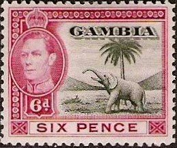 Colnect-530-182-King-George-VI-African-Elephant-Loxodonta-africana.jpg