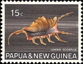 Colnect-1553-039-Scorpion-Spider-Conch-Lambis-scorpius.jpg