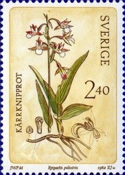 Colnect-431-202-Wild-Orchids-Epipactis-palustris.jpg