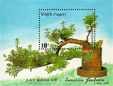 Colnect-1632-878-Vietnamese-bonsai.jpg