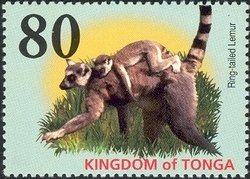 Colnect-2373-382-Ring-tailed-Lemur-Lemur-catta.jpg