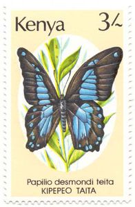 Colnect-802-156-Papilio-desmonditeta.jpg