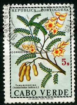 Colnect-1318-900-Tamarind-Tamarindus-indica.jpg