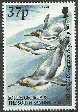 Colnect-4035-596-King-Penguin-Aptenodytes-patagonicus.jpg