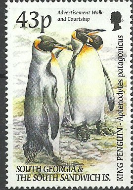 Colnect-4035-597-King-Penguin-Aptenodytes-patagonicus.jpg