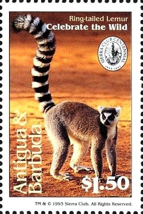 Colnect-4112-691-Ring-tailed-lemur.jpg