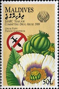 Colnect-4215-544-Syringe-opium-poppies.jpg
