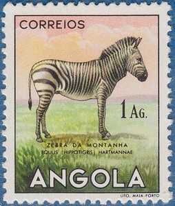 Colnect-566-099-Mountain-Zebra-Equus-zebra.jpg