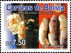 Colnect-1412-219-International-Year-of-the-Potato.jpg