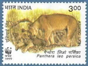 Colnect-549-789-Asiatic-Lion-Panthera-leo-persica.jpg