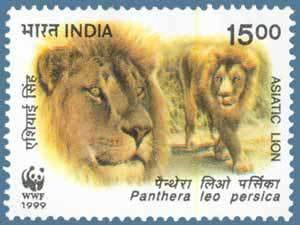 Colnect-549-790-Asiatic-Lion-Panthera-leo-persica.jpg