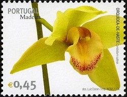 Colnect-546-322-Madeira-Flowers-Orchid.jpg
