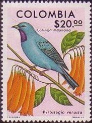 Colnect-556-260-Birds-and-flowers.jpg