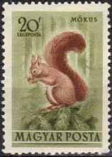 Colnect-597-443-Red-Squirrel-Sciurus-vulgaris.jpg