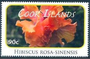 Colnect-4070-092-Hibiscus-rosa-sinensis.jpg